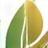 Logo NutriSanté Conseil